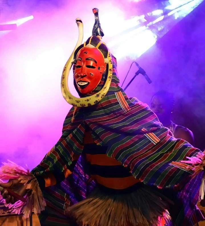 Organisation de séances photos.